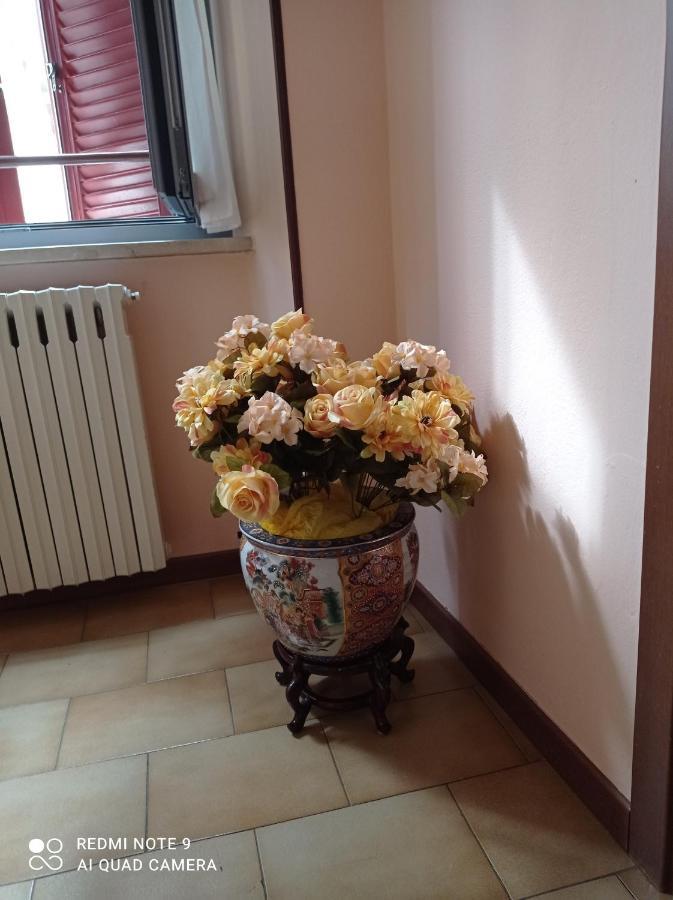 La Casa Di Terry Villa Bergamo Buitenkant foto